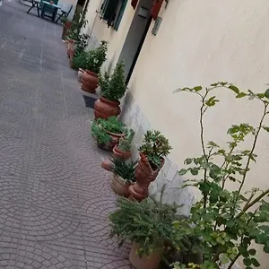  Appartamento Casa Diana Italia